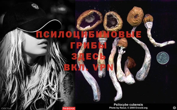 ГАЛЛЮЦИНОГЕННЫЕ ГРИБЫ Новокубанск