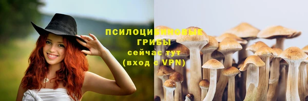 амф Горнозаводск