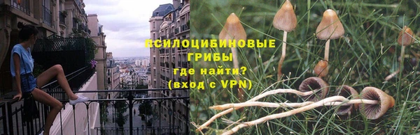 стафф Магадан
