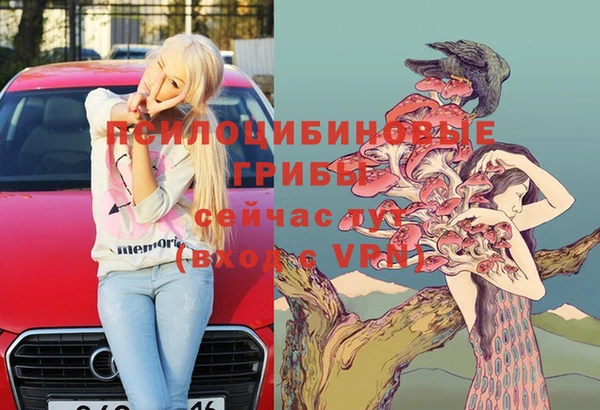 стафф Магадан