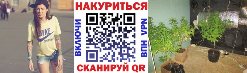 даркнет сайт  Усть-Катав  Бошки Шишки Amnesia 